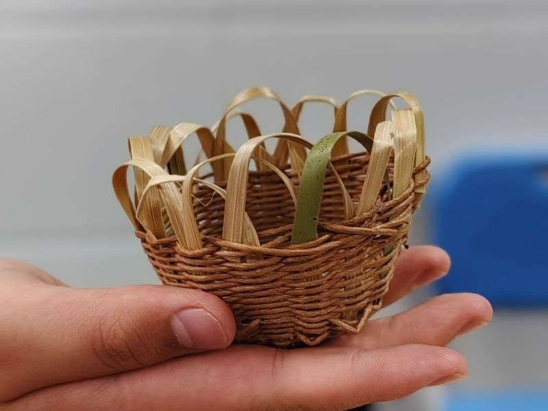 1701858811947556.jpg 2.jpg